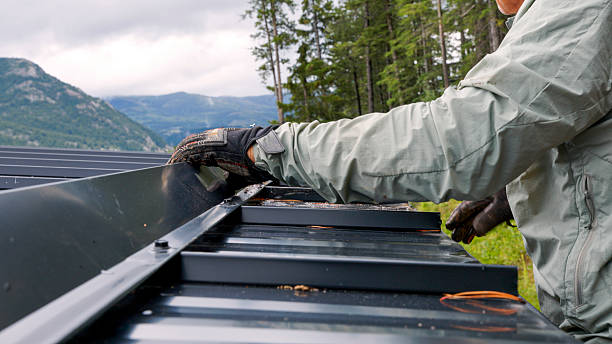 Reliable Roof Cleaning and Gutter Maintenance
